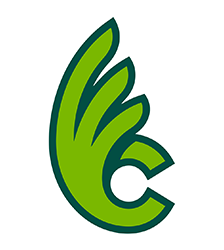 Wilmington Athletic Camps